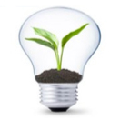Lampadina